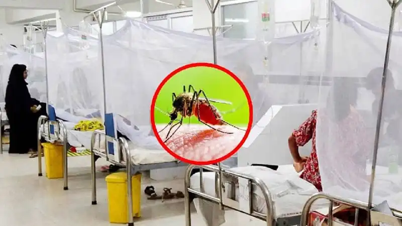 ডেঙ্গুতে এক দিনে সর্বোচ্চ আক্রান্ত, মৃত্যু ৩