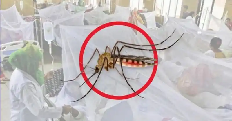 ডেঙ্গুতে মৃত্যু ৪