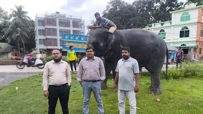 নিহার কলি ও সম্রাট বাহাদুরের সঙ্গে একজন ব্যক্তি হাতি চড়ে বসে. Channel i News - চ্যানেল আই নিউজ