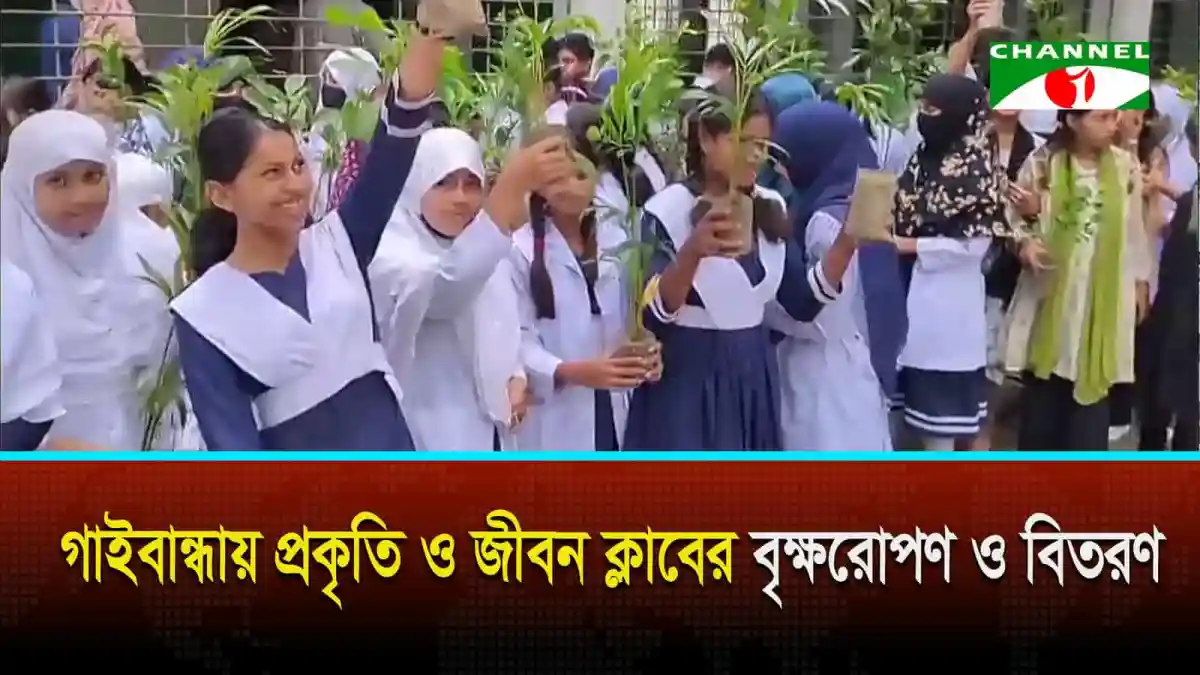 গাইবান্ধায় প্রকৃতি ও জীবন ক্লাবের বৃক্ষরোপণ ও বিতরণ