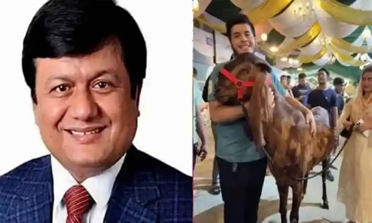 মতিউর রহমানের ছবি ও পশু প্রদর্শনী, চ্যানেল আই অনলাইন. Channel i News - চ্যানেল আই নিউজ