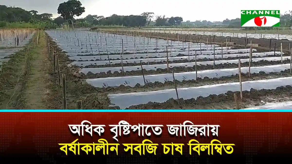 জাজিরায় বর্ষাকালীন সবজি চাষের জন্য প্রস্তুত জমি. Channel i News - চ্যানেল আই নিউজ