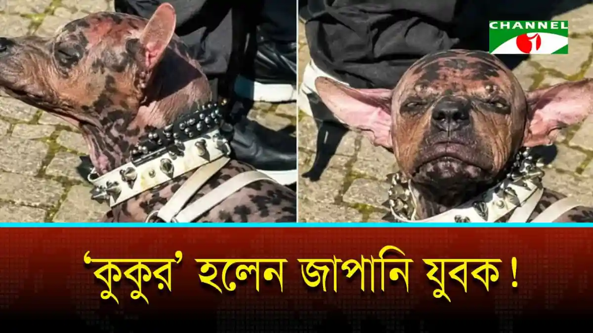 টোকো নামে কুকুরের দুটি ছবি, একটিতে তার চোখ বন্ধ, অন্যটিতে চোখ খোলা।. Channel i News - চ্যানেল আই নিউজ
