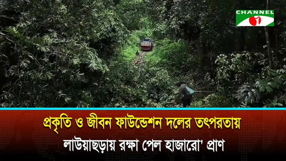লাউয়াছড়ায় বন রক্ষা ও প্রাণের নিরাপত্তা অভিযান. Channel i News - চ্যানেল আই নিউজ
