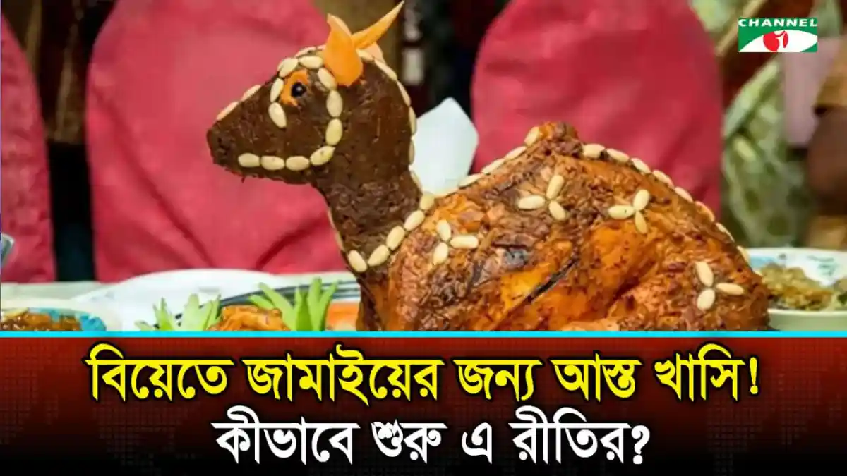 বিয়ের অনুষ্ঠানে আস্ত খাসি ও গরুর ছবি, বাংলার ঐতিহ্যবাহী রীতি. Channel i News - চ্যানেল আই নিউজ