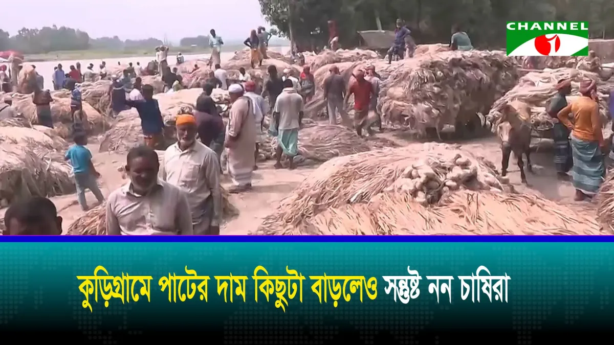 কুড়িগ্রামে পাটের দাম কিছুটা বাড়লেও সন্তুষ্ট নন চাষিরা