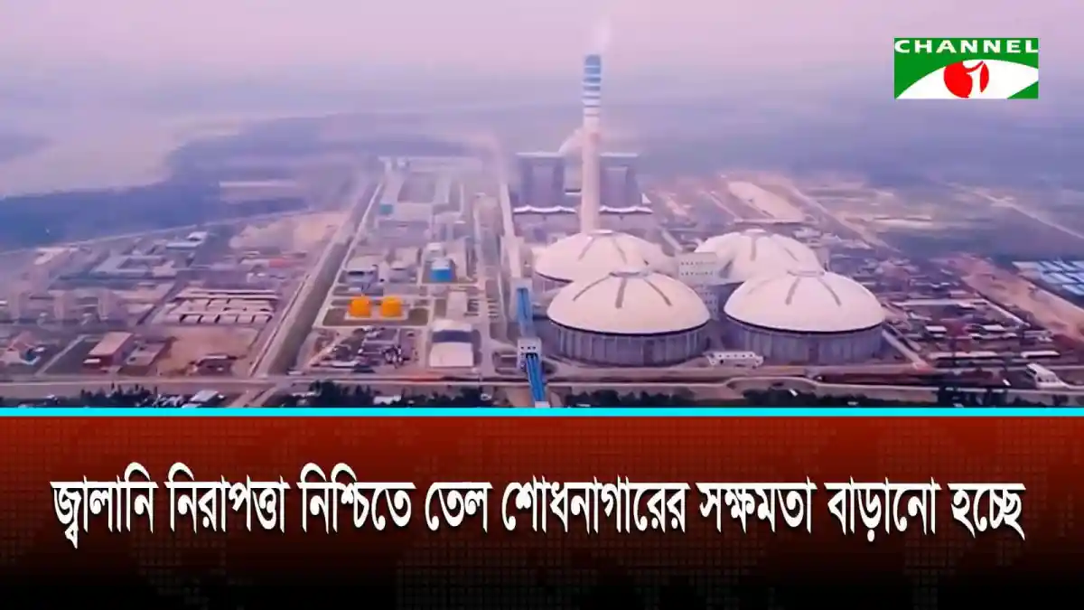 দু’সপ্তাহের মধ্যে বিদ্যুৎ ও জ্বালানি পরিস্থিতির উন্নতি হবে প্রতিমন্ত্রীর প্রত্যাশা