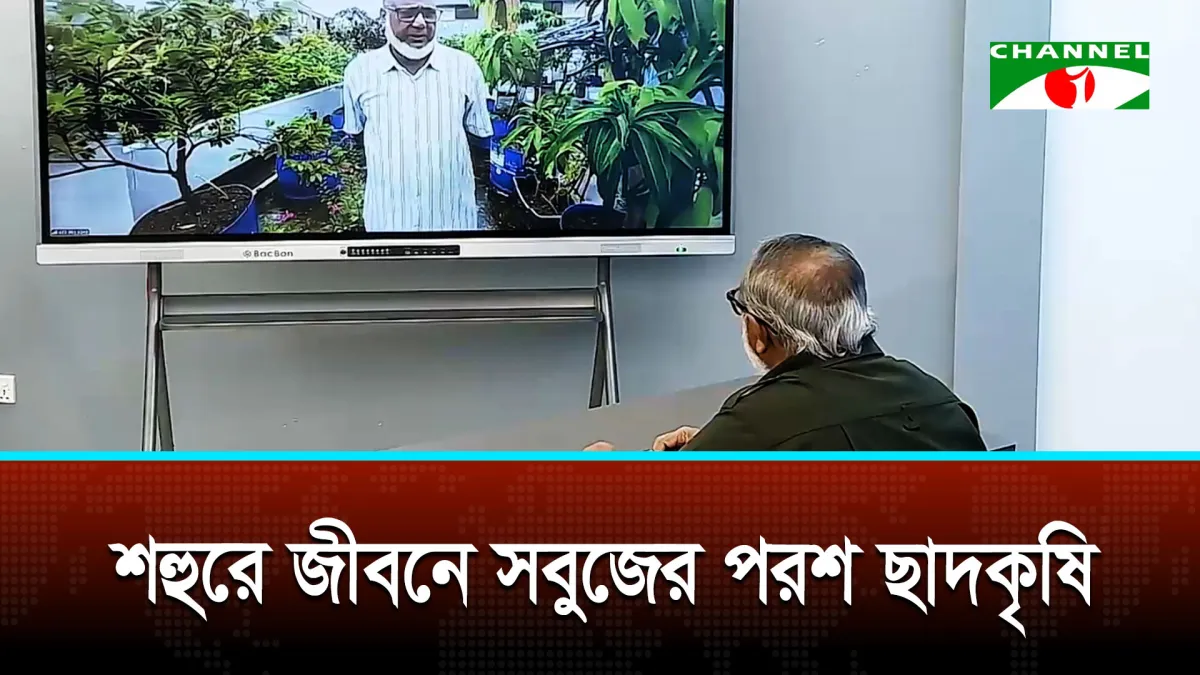 ছাদকৃষিতে নিরাময় খুঁজে পেয়েছেন এক প্রবীণ উদ্যোক্তা