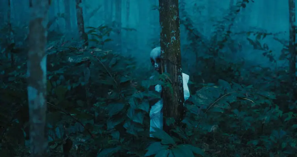 অন্ধকারের ভেতর কী লুকিয়ে আছে?