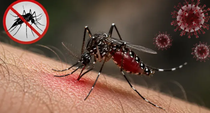 ডেঙ্গুতে আরও ৬ জনের মৃত্যু