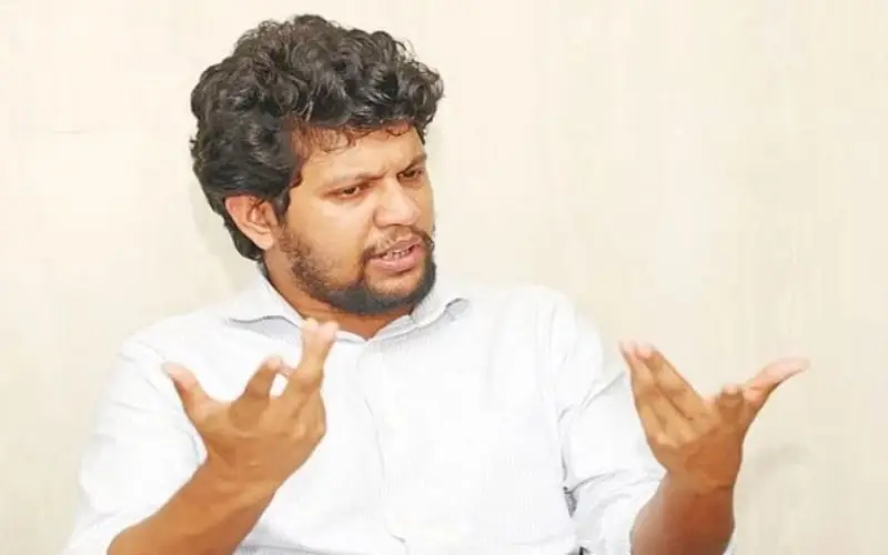 দেশে কয়েক বছর স্থিতিশীলতা দরকার: মাহফুজ আলম