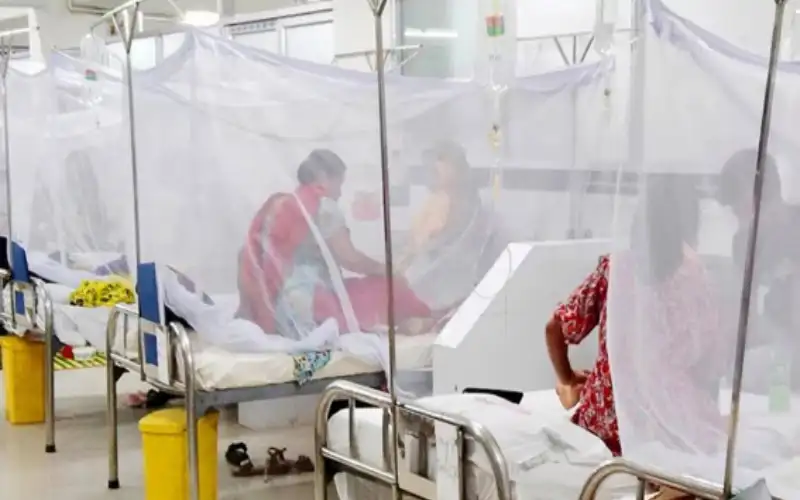 ডেঙ্গুতে আরও ৭ জনের মৃত্যু, আক্রান্ত দেড় হাজারের বেশি
