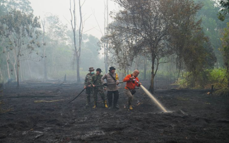 সুপার এল নিনোর প্রভাবে সাড়ে ৪ লাখ মানুষের মৃত্যু হতে পারে: গবেষণা