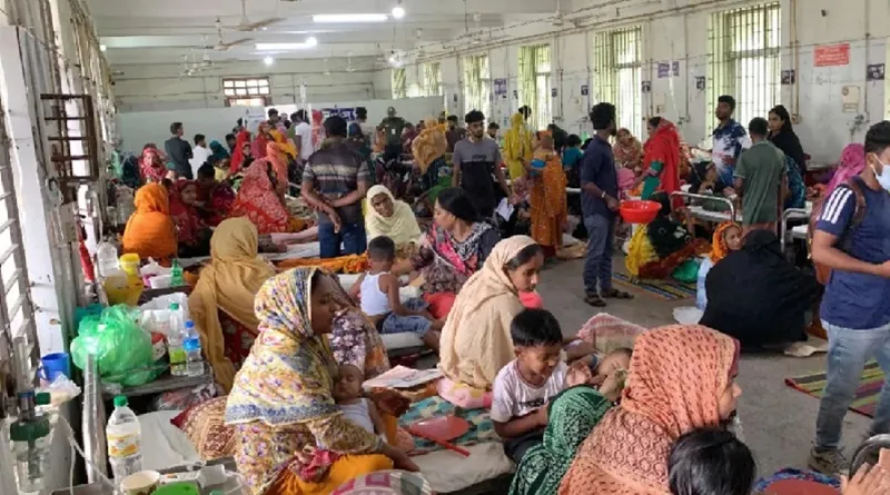 হামে আরও ৮ জনের মৃত্যু