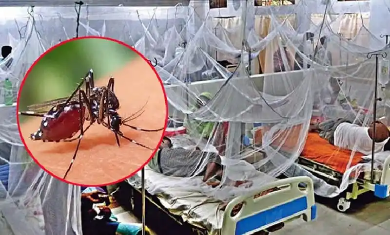 ডেঙ্গুতে ২৪ ঘণ্টায় ৫ জনের মৃত্যু