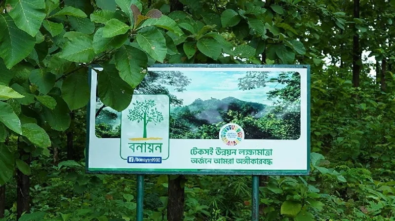 ৪৬ বছরে ১৩ কোটি চারা বিতরণ, এবার ৫০ লাখের লক্ষ্য বনায়নের