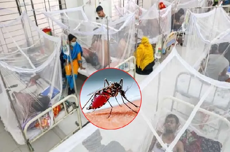 ডেঙ্গুতে আরও ২ জনের মৃত্যু, হাসপাতালে ভর্তি বাড়ছে