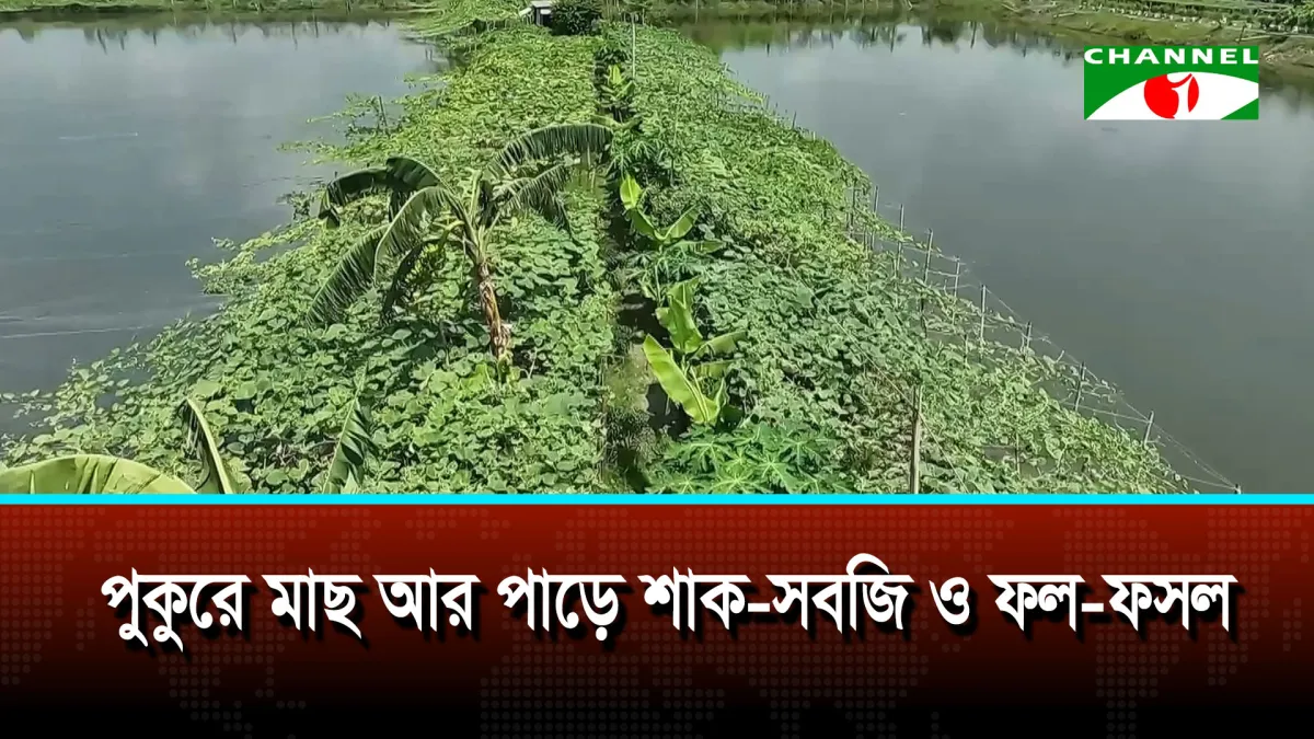 পুকুরে মাছ আর পাড়ে শাক-সবজি ও ফল-ফসল