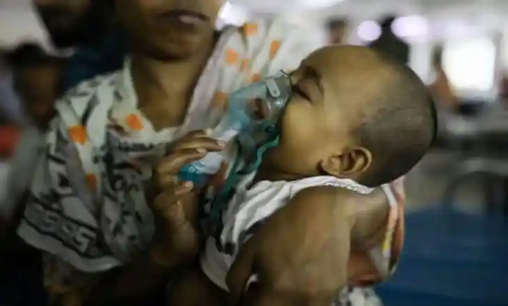 হামে আরও ৭ জনের মৃত্যু