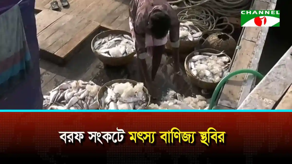 বরফ সংকটে মৎস্য বাণিজ্য স্থবির