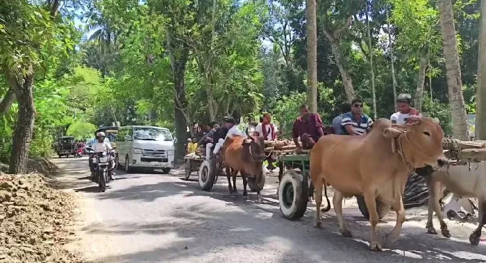 মাগুরায় গ্রামীণ ঐতিহ্যে এক আলোচিত বিয়ে