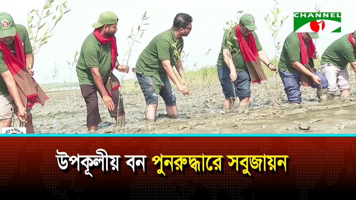 উপকূলীয় বন পুনরুদ্ধারে সবুজায়ন