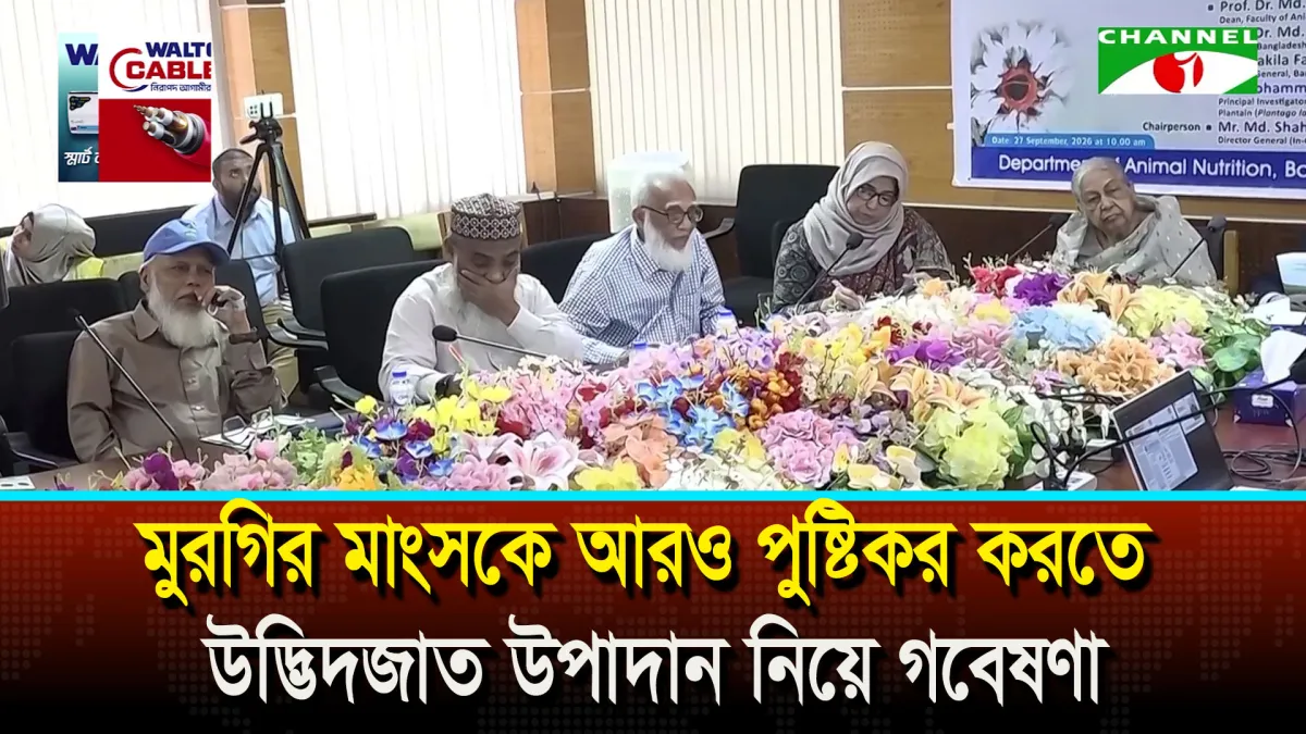 মুরগির মাংসকে আরও পুষ্টিকর করতে উদ্ভিদজাত উপাদান নিয়ে গবেষণা