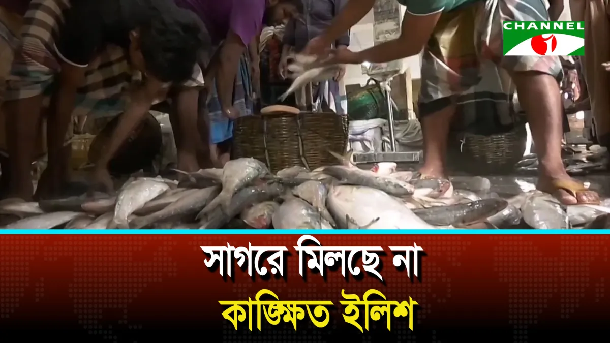 সাগরে মিলছে না কাঙ্ক্ষিত ইলিশ