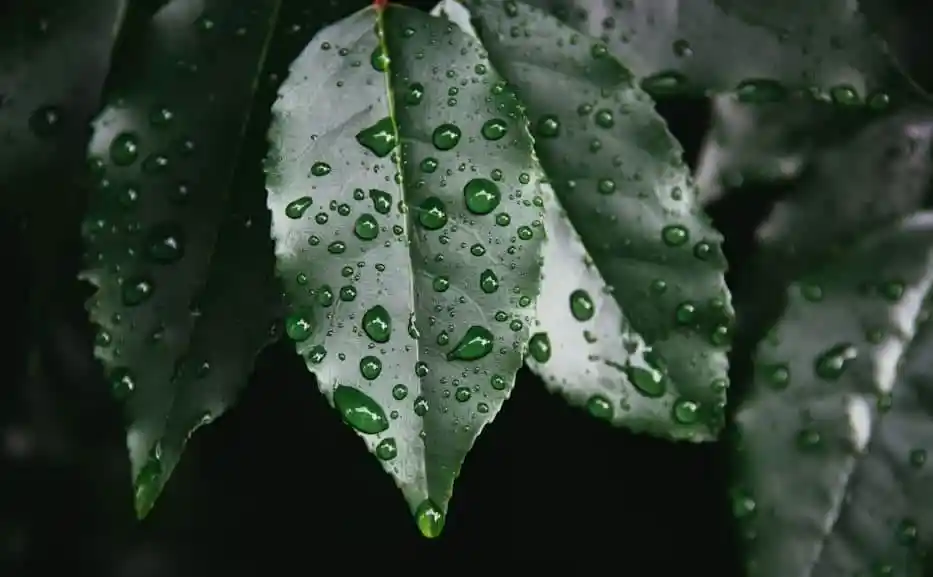 কেমন থাকবে আজকের আবহাওয়া?