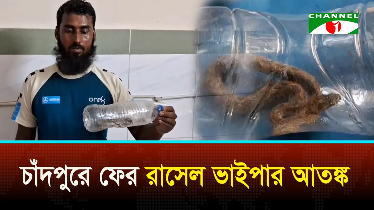 মেয়েকে বাঁচাতে রাসেল ভাইপার হাতে হাসপাতালে বাবা