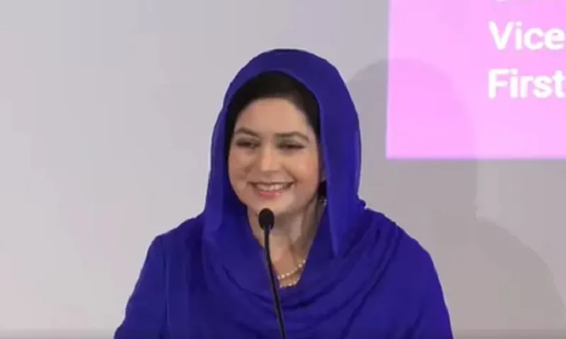 ক্রমবর্ধমান স্বাস্থ্যসেবার চাহিদা পূরণে প্রচলিত উন্নয়ন সহায়তা যথেষ্ট নয়: জুবাইদা রহমান