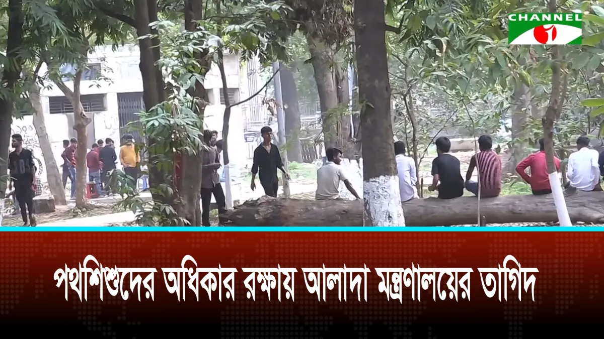 পথশিশুদের অধিকার রক্ষায় আলাদা মন্ত্রণালয়ের তাগিদ