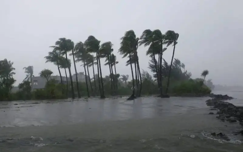 বিশ্ব আবহাওয়ায় এল নিনোর ৫ প্রভাব, বদলে যাচ্ছে ঝড়-বৃষ্টির ধরন