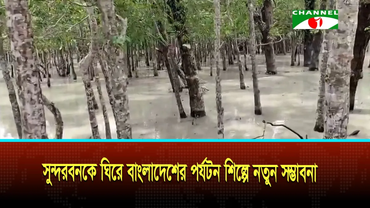 সুন্দরবনকে ঘিরে বাংলাদেশের পর্যটন শিল্পে নতুন সম্ভাবনা