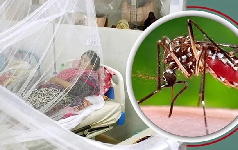 ডেঙ্গুতে একদিনে ৫ জনের মৃত্যু