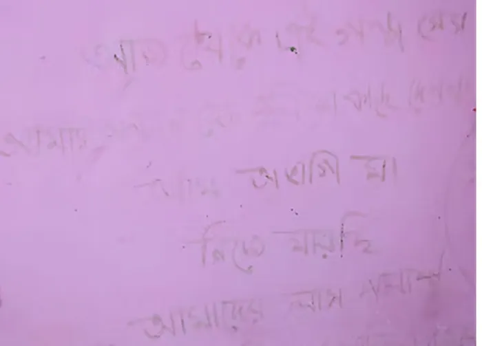 দেয়ালে লেখা, ‘আজ থেকে এই গল্প শেষ, আমি অভাগী মা’