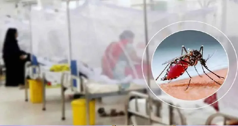 ডেঙ্গুতে ২৪ ঘণ্টায় ৮ জনের মৃত্যু