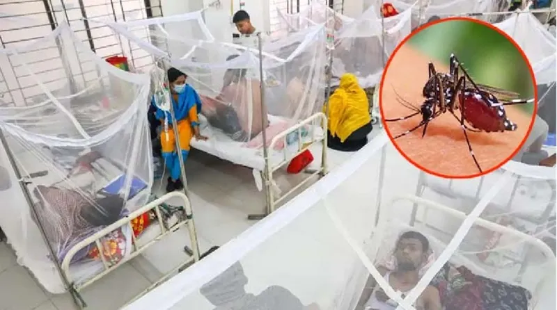 ডেঙ্গুতে একদিনে ৪ মৃত্যু