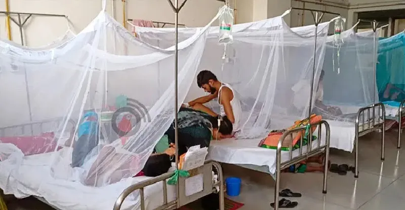 ডেঙ্গুতে আরও ৬ জনের মৃত্যু