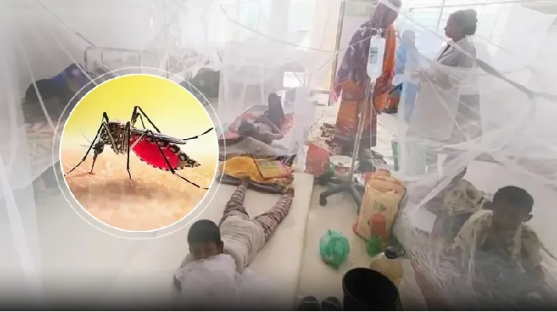 ডেঙ্গুতে আরও ৭ জনের মৃত্যু, হাসপাতালে ভর্তি বাড়ছে