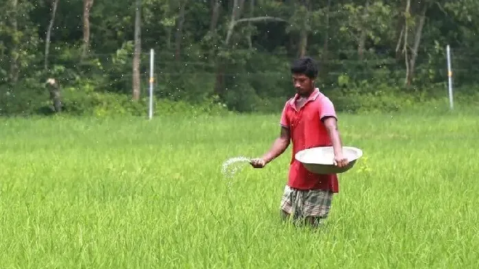 যমুনা সার কারখানায় ইউরিয়া সারের উৎপাদন আবার বন্ধ