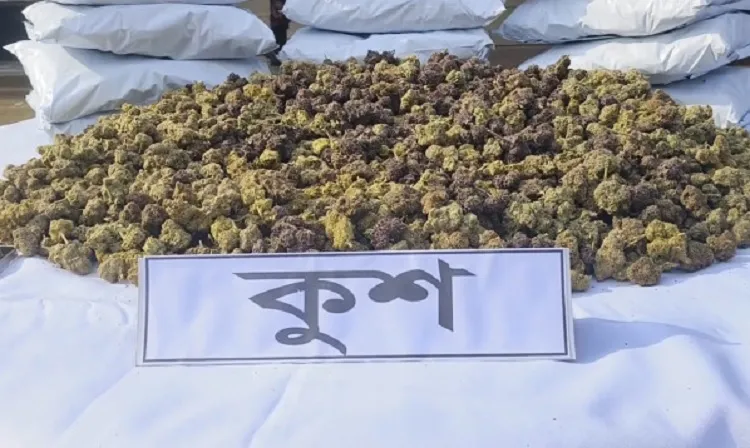 বাংলাদেশে ঢুকছে নতুন মাদক ‘কুশ’: কতটা বিপজ্জনক এই মাদক?